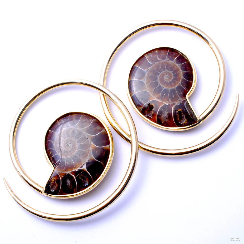 Ammonite Hoops from Quetzalli - Image 4